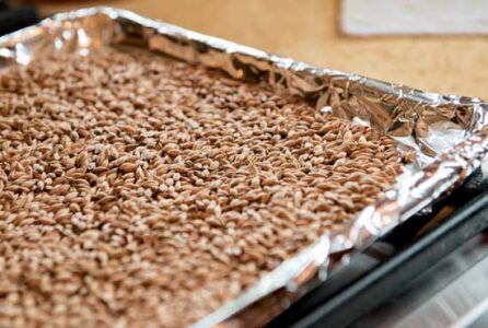 How to Toast Specialty Malts